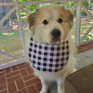 Bibs for Large Dogs!! Hand sewn, pullover style! EMBROIDERED names available!