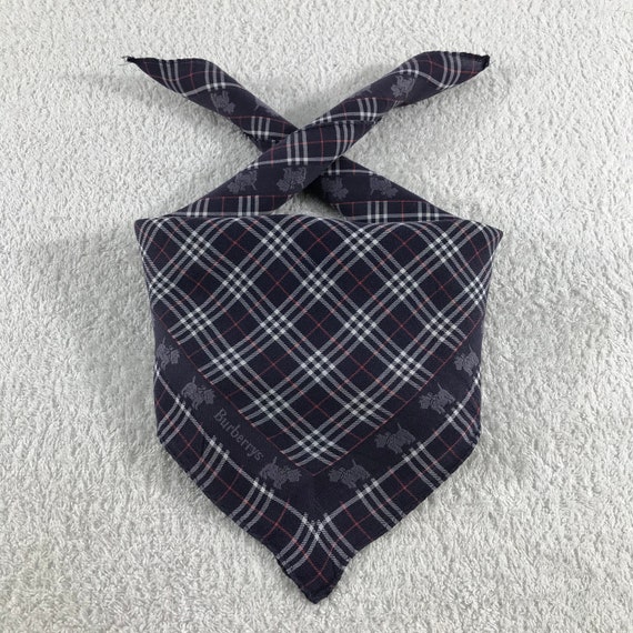 Authentic Burberry Scarves Handkerchief Accessorie