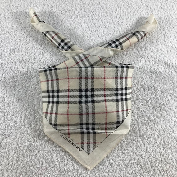 Authentic Burberry Scarves Handkerchief Accessorie