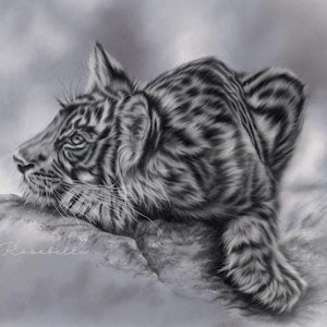 Tiger Cub Print ~ World Wildlife Art ~ Tiger Art ~ Giclee Print ~ Artist Signed with Certificate of Authenticity