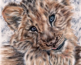 Lion Cub Print -  Art Print ~ World Wildlife Art ~ Baby Animals ~ Giclee Print + Artist Signed Certificate of Authenticity