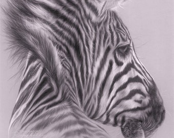 Zebra Art PRINT, Zebra art, African wildlife art, Zebra Gift, FREE worldwide SHIPPING