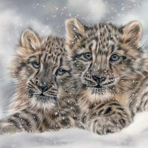 Snow Leopard Cubs Art Print small, Wildlife Art Print, Big cats art and gift