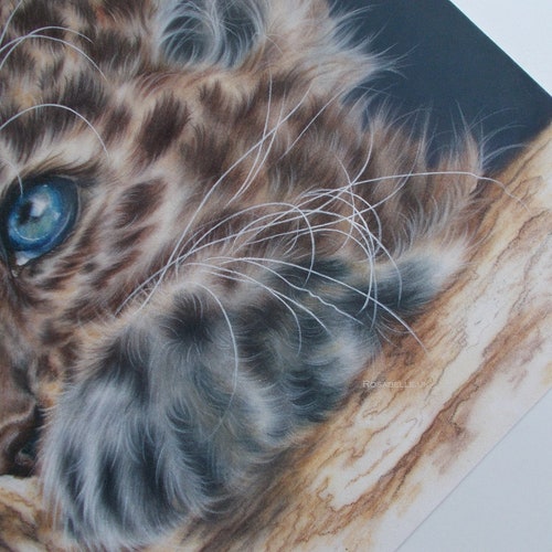 Baby Leopard Cub Art, Leopard Art ORIGINAL pastel drawing, Realistic animal art, Baby Wildlife, FREE SHIPPING Worldwide .br Baby Leopard Cub Art, Leopard Art ORIGINAL pastel drawing, Realistic animal art, Baby Wildlife, FREE SHIPPING Worldwide .br
