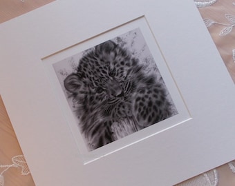 Leopard art mini art print in mount, Leopard cub, Wildlife Art ~ Collectable Fine Art Print ~ Wall Decor FREE SHIPPING WORLDWIDE