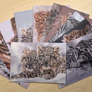 May include: A selection of art prints displaying detailed illustrations of big cats, such as tigers, leopards, and snow leopards. The prints depict the animals in various poses and environments, highlighting their fur patterns and facial expressions.