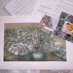 Snow Leopard Art Print, Wildlife Art Print, Big cats art and gift