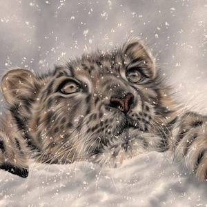 Snow Leopard Art ORIGINAL drawing - Hand drawn artist signed ~ Pastel drawing - Big cat art with 6 FREE bookmarks