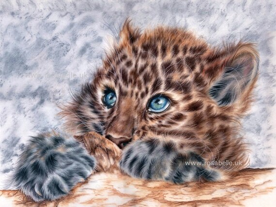 leopard cub scaredy cat