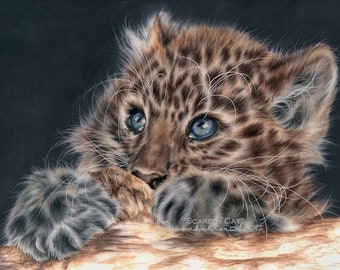 Leopard Art, Leopard Art ORIGINAL pastel drawing, Realistic animal art, Baby Wildlife, FREE SHIPPING Worldwide