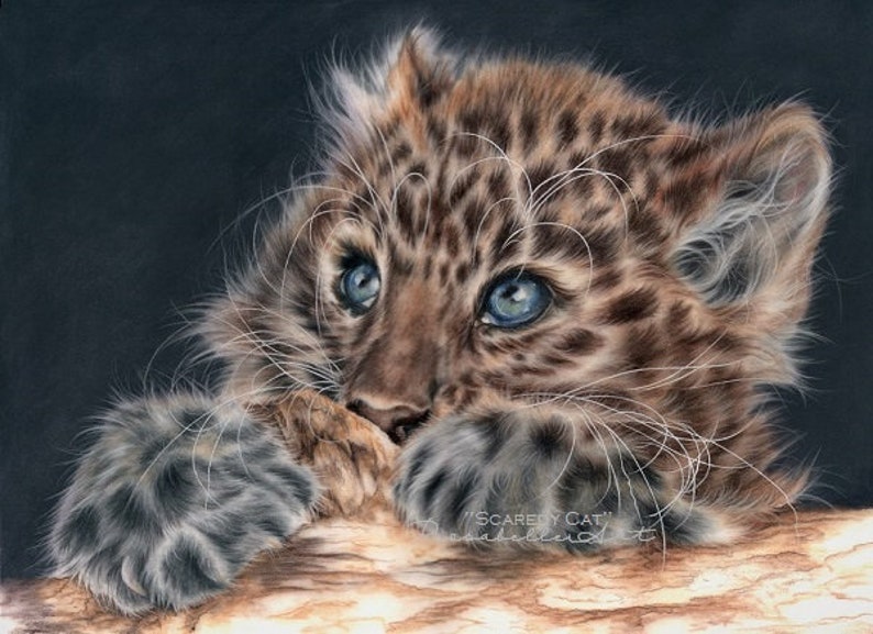 Baby Leopard Cub Art, Leopard Art ORIGINAL pastel drawing, Realistic animal art, Baby Wildlife, FREE SHIPPING Worldwide .br Baby Leopard Cub Art, Leopard Art ORIGINAL pastel drawing, Realistic animal art, Baby Wildlife, FREE SHIPPING Worldwide .br