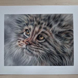 Pallas Cat PRINT ~ Wildlife Art ~ Professionally printed giclee print ~ Artist signed with Certificate of Authenticity