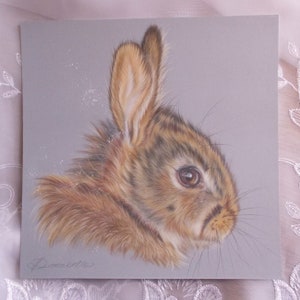 Arte de conejo, dibujo de conejo ORIGINAL, arte de animales del campo, arte de liebre,