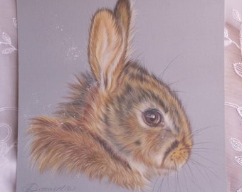 Rabbit Art, ORIGINAL Rabbit Drawing, Countryside animal art, Hare Art, FREE Worldwide SHIPPING