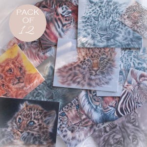 Notecards, Pack of 12, Animal Notecards, Wildlife Notelets, Mixed designs Notecards, Blank inside, includes ENVELOPES,