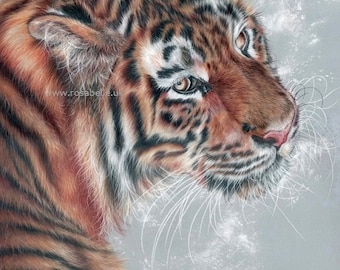 Tiger Print ~ Spirit animal Tiger Art Print ~ Tiger ~ Giclee Print ~ Artist Signed Certificate of Authenticity - FREE SHIPPING WORLDWIDE