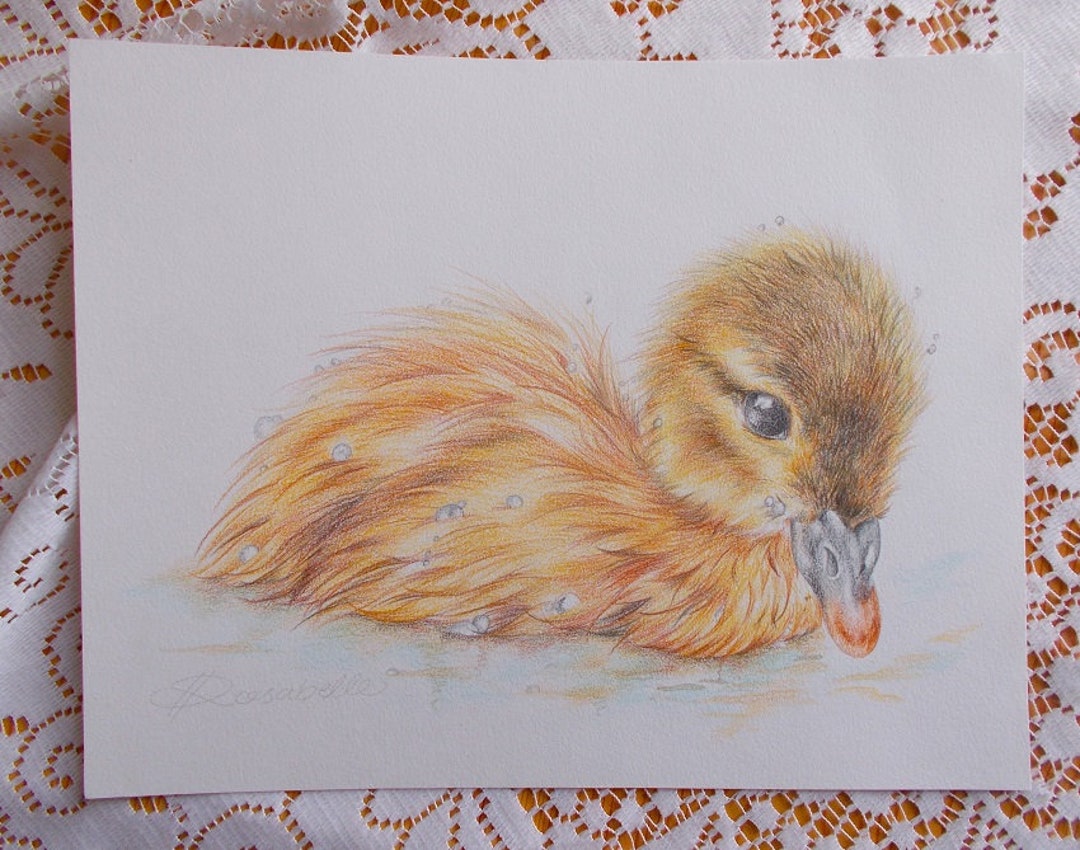 Duckling ORIGINAL Drawing, Duck Colour Pencil Drawing, One of a Kind ...