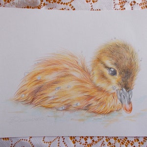 Duckling ORIGINAL drawing, duck colour pencil drawing, one of a kind drawing,