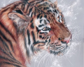 Tiger Print ~ Spirit animal Tiger Art Print ~ Tiger ~ Big Cats Print ~ Artist Signed Certificate of Authenticity - FREE SHIPPING WORLDWIDE