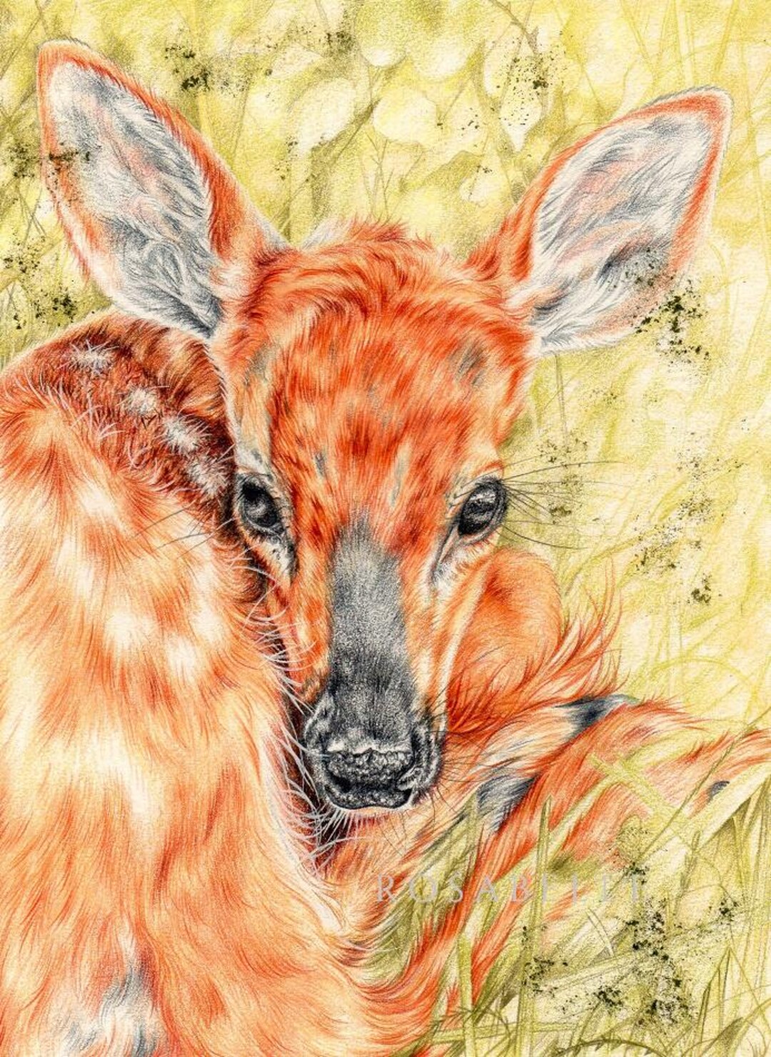 Deer Art ORIGINAL Drawing, Deer Colour Pencil Drawing, Deer Art, One of