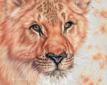 Lioness Art Print - FREE WORLDWIDE SHIPPING