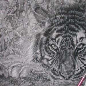Tiger Print ~ One of a kind hand embellished ~ Tiger Art ~ Giclee Print ~ Artist Signed with Certificate of Authenticity