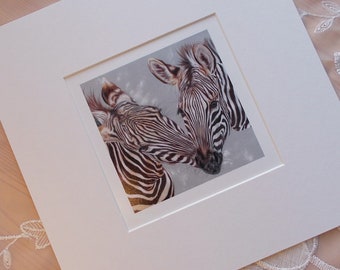 Zebra mini art print in mount ~ Wildlife Art ~ Collectable Fine Art Print ~ Wall Decor FREE SHIPPING WORLDWIDE
