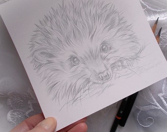 Igel Zeichnung, Tierzeichnung, Bleistiftzeichnung, britische Tierkunst, Igel Geschenk, kostenloser Versand weltweit