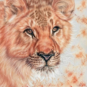 Lioness Art Print ~ Big Cats Wildlife Art ~ Giclee Print ~ Artist Signed with Certificate of Authenticity
