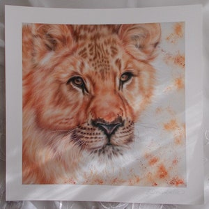 Lioness Art Print ~ Big Cats Wildlife Art ~ Giclee Print ~ Artist Signed with Certificate of Authenticity