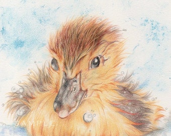 Duck art ORIGINAL drawing, duckling colour pencil drawing, one of a kind drawing, FREE Worldwide SHIPPING