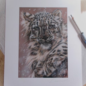 Snow Leopard Art Print, One of a kind wildlife Print, Big cats art print