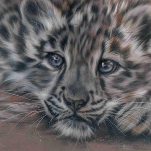 Snow Leopard Art ORIGINAL drawing - Hand drawn artist signed ~ Pastel drawing - Big cat art
