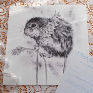 Country Art, Harvest Mouse Art, Countryside Art, Nature art, Black & White Print, Artist Signed Certificate of Authenticity