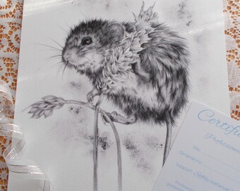 Country Art, Harvest Mouse Art, Countryside Art, Nature art, Black & White Print, Artist Signed Certificate of Authenticity FREE SHIPPING