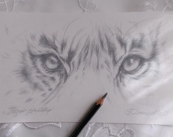 Tiger drawing, tiger art, original pencil drawing, wildlife art, FREE SHIPPING Worldwide