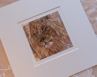 Lion art mini art print in mount ~ Wildlife Art ~ Big cat art ~ Lion print ~ Collectable Fine Art Print ~ Wall Decor FREE SHIPPING WORLDWIDE