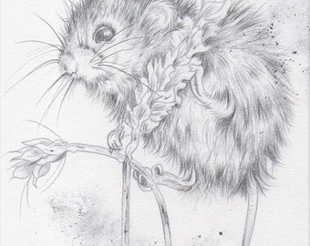 Harvest mouse drawing, Original pencil drawing, countryside theme, FREE SHIPPING Worldwide
