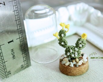 Miniature Bunny Ears Cactus glass cloche, Tiny plant terrarium,  Mother's day gift, Dollhouse Decor, Wish bottle, Mother’s Day gift