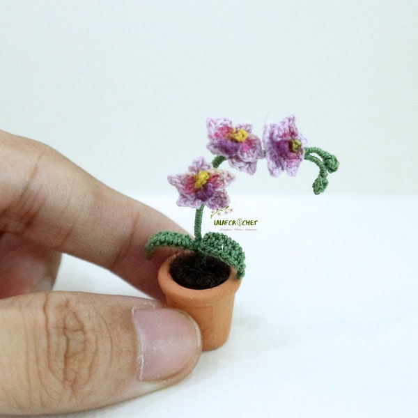 Orchidée miniature en pot, Petit pot de fleur d’orchidée minuscule, Mini phalaenopsis, Cadeau de la fête des Mères, Cadeau de fleur de printemps