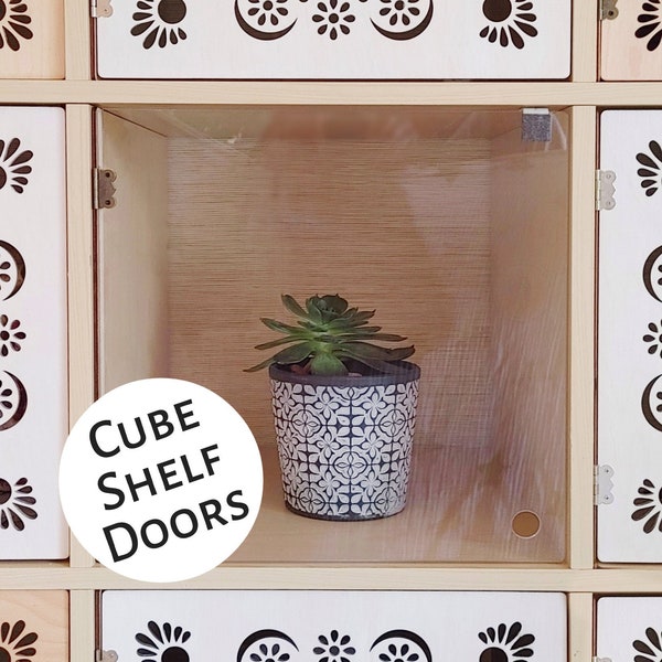 Clear "No Tools" Door for Cube Shelves - Acrylic, Minimalist, Bookshelf Bookcase Insert, Decor, Storage, Custom, Ikea Target, Cabinet