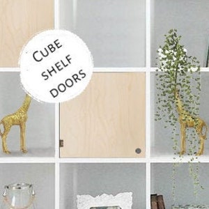 Easy &quot;No Tools&quot; Door for Cube Shelves - Minimalist, Bookshelf Bookcase Insert, Decor Decoration, Storage, Custom, Ikea Target, Blank
