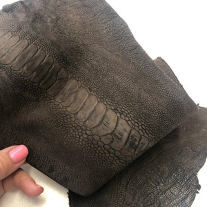 Ostrich Leg matte Dark Brown Real Genuine Leather