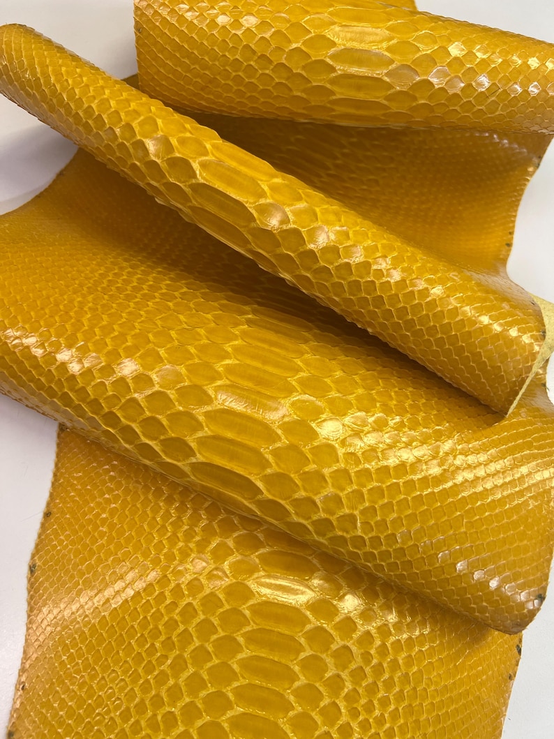 Yellow Python Snakeskin Leather Skins- Leather Exotic for Handbags ...