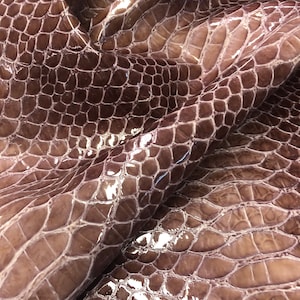 May include: Close-up of a piece of brown crocodile leather with a glossy finish. The leather has a textured pattern of scales.