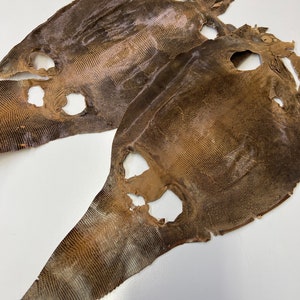 Lizard Skins Genuine Lizard Leather Skin