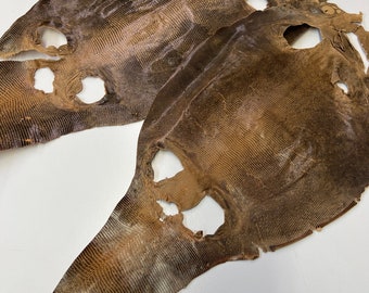 Lizard Skins Genuine Lizard Leather Skin