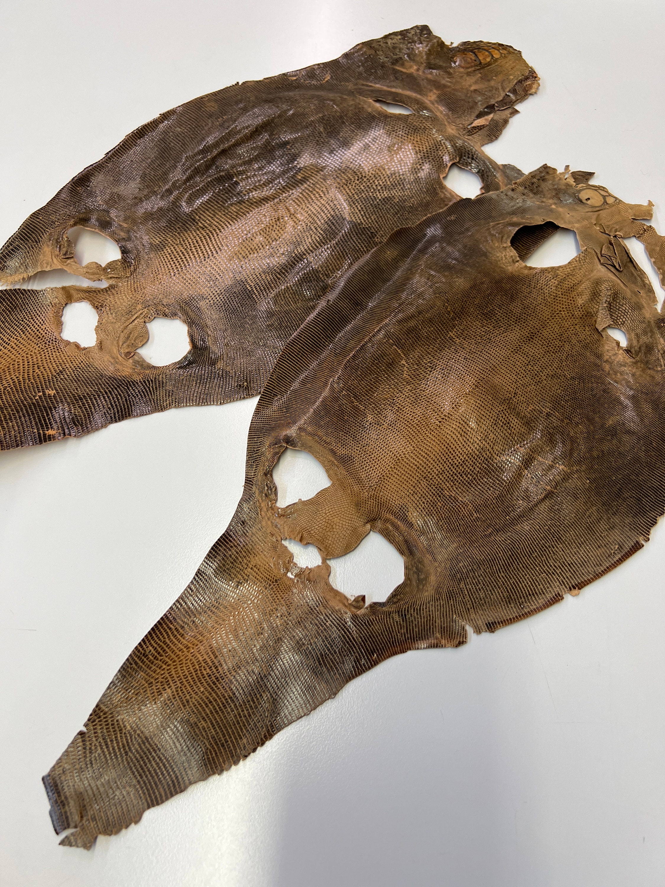 【美品】Lizard skin リザード レザー 蜥蜴革/金具/ハンドバッグ 値下げ】genuine lizard skin トカゲ革 ハンド バッグ - メルカリ