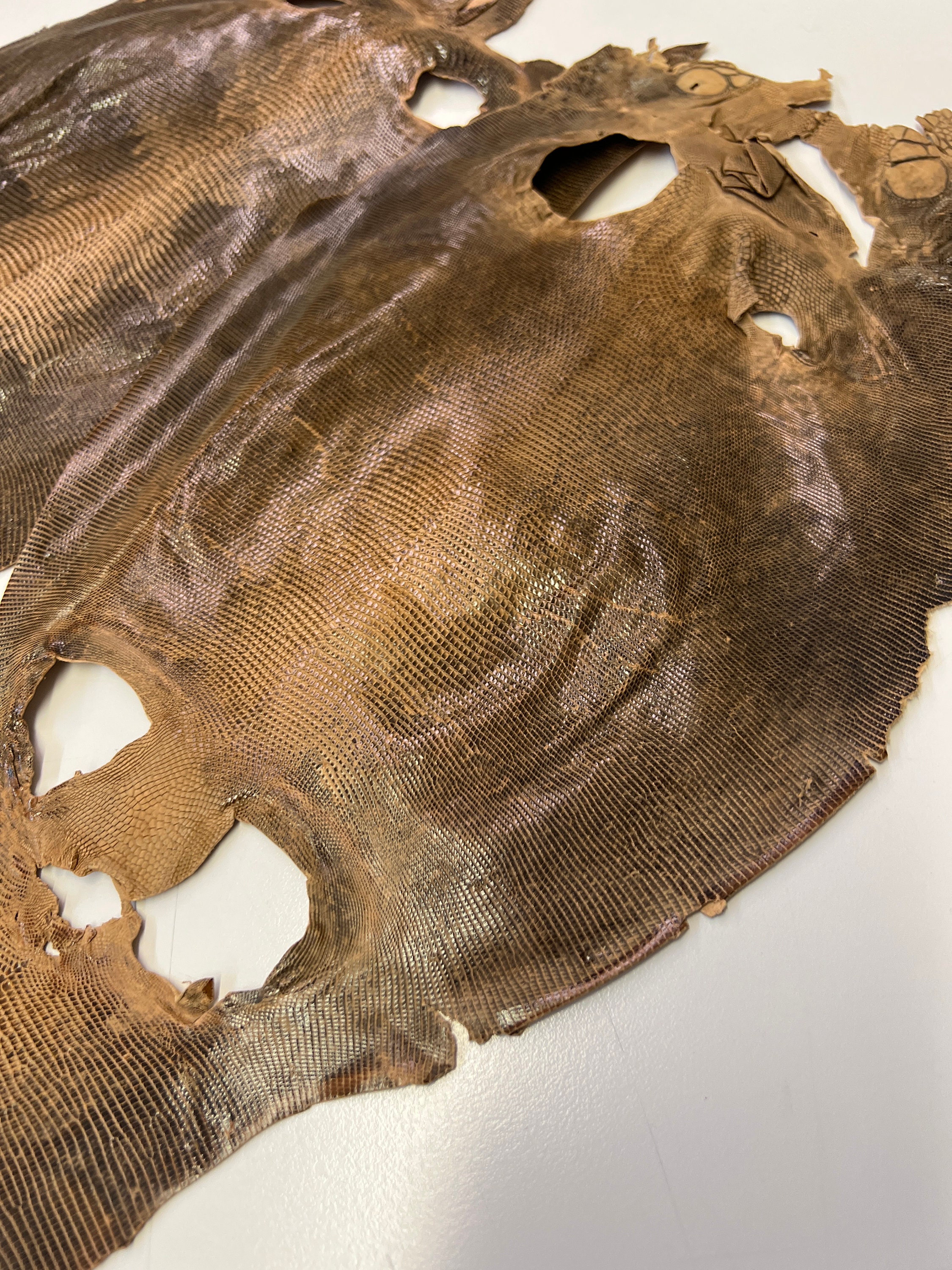 Lizard Skins Genuine Lizard Leather Skin - Etsy