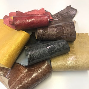 Ostrich Leg Red Beige Grey Tan Gold  Chocolate Ostrich Legs Genuine Leather